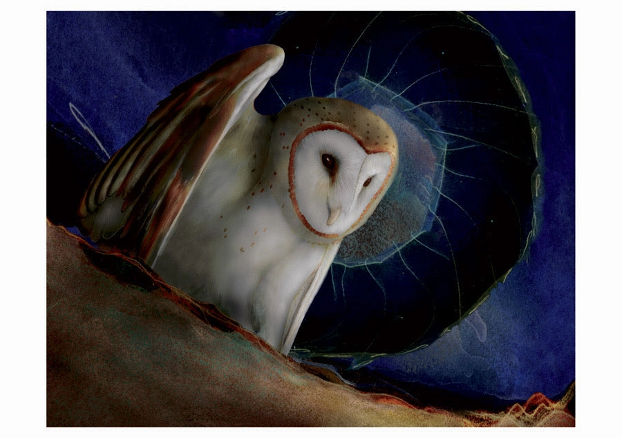 Barn Owls - Jeannine Chappell Boxed Assorted Note Cards