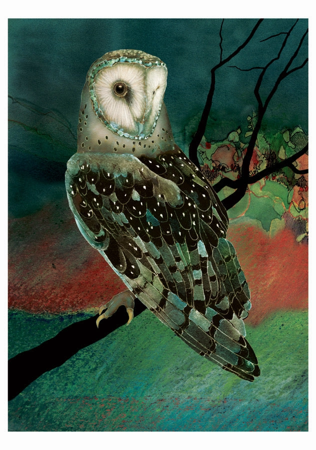 Barn Owls - Jeannine Chappell Boxed Assorted Note Cards