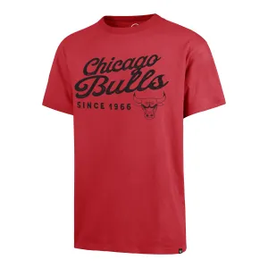 CHICAGO BULLS DUSTED CARRICK '47 RIVER TEE