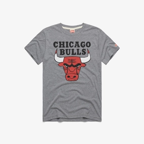 Chicago Bulls Logo