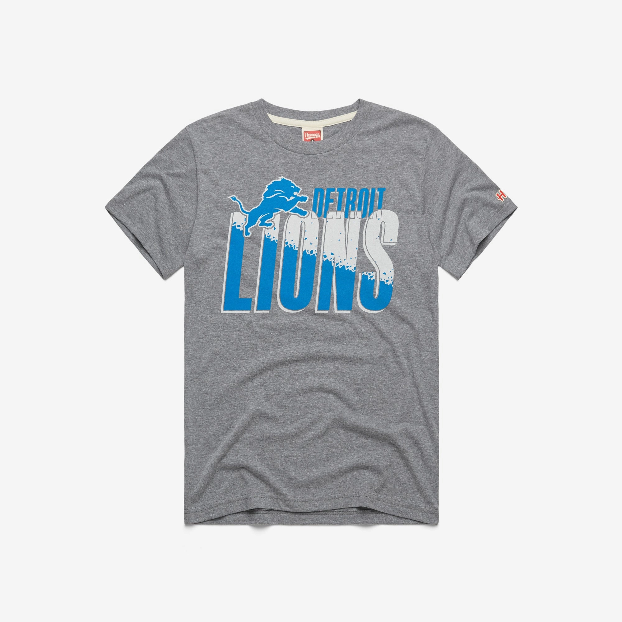 Detroit Lions Color Splash