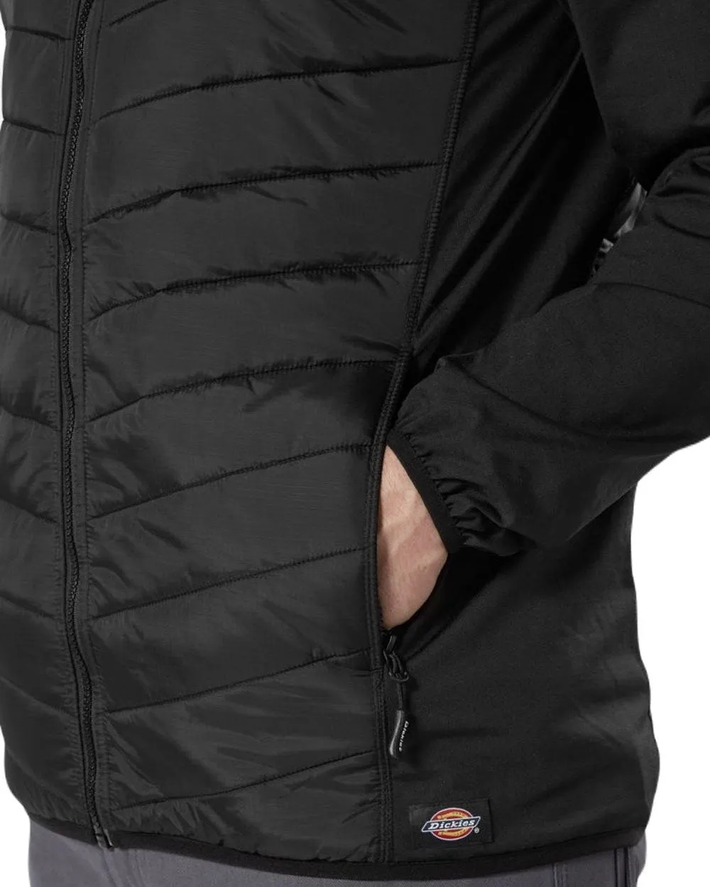 Dickies Generation Waterproof Hybrid Jacket Men's Waterproof Jackets