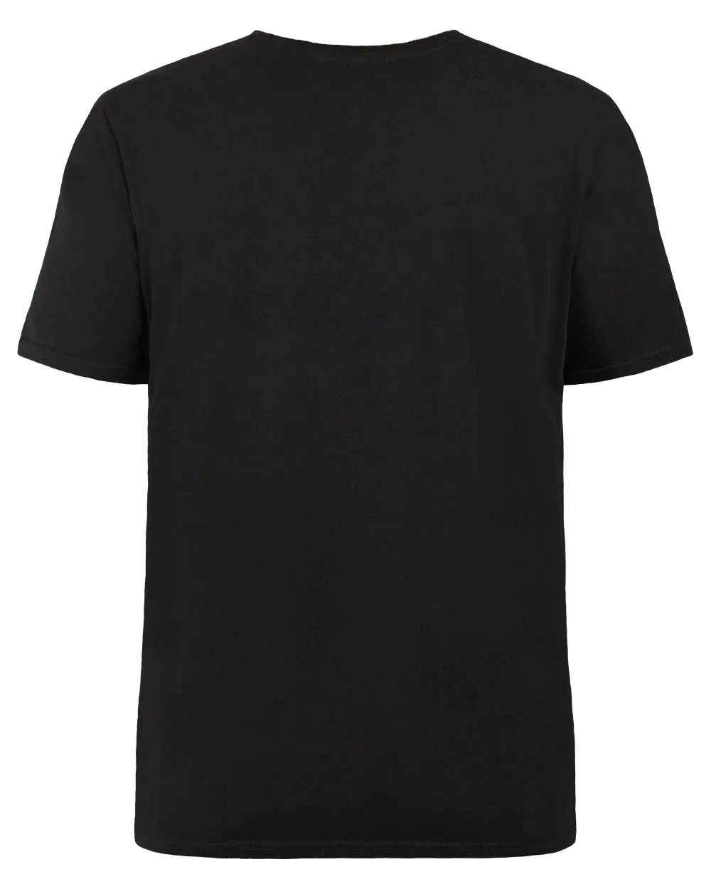 Didriksons Mens Harald Landscape T-Shirt Hiking Shirts for Men