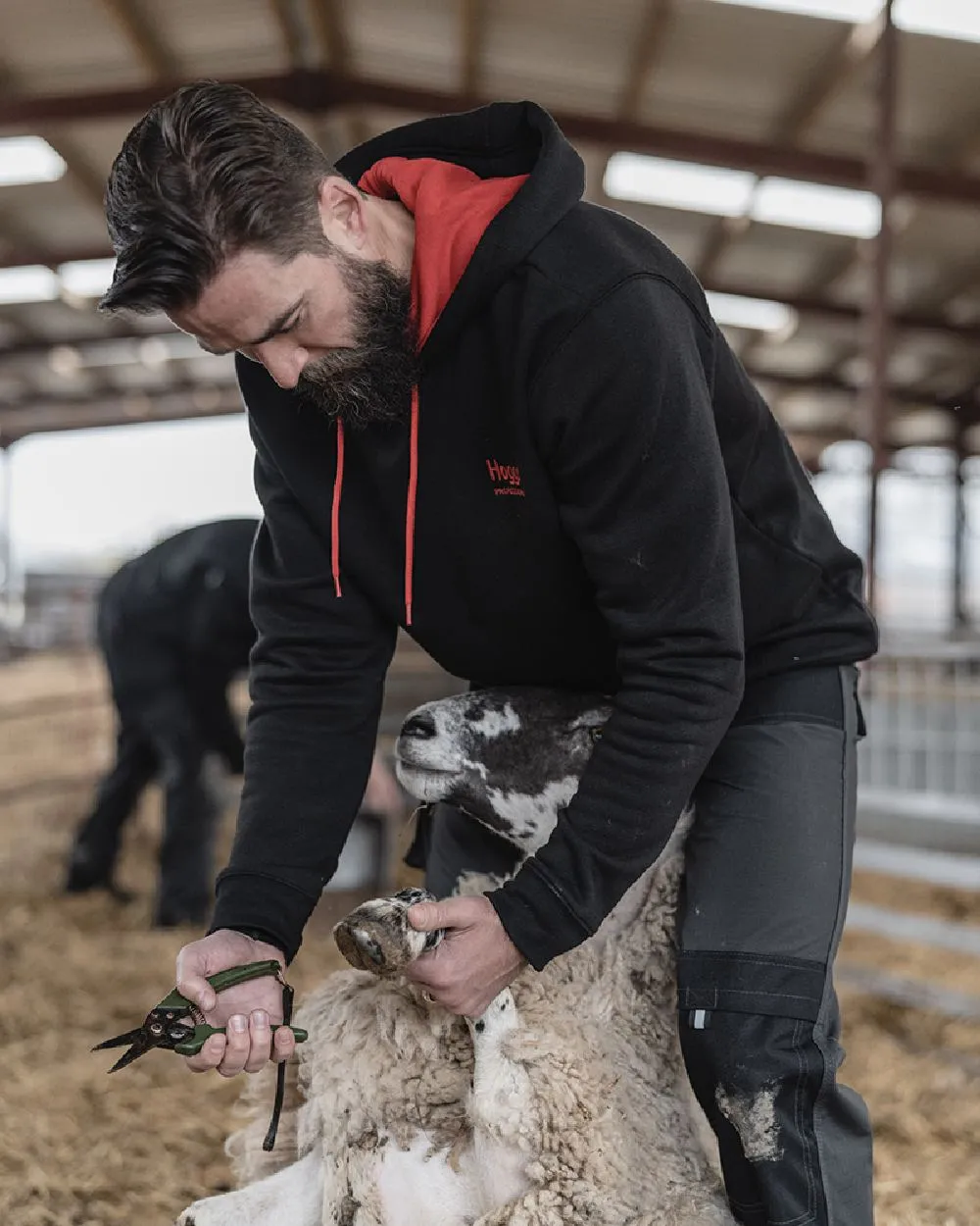 Hoggs of Fife Hoggs Professional Hoodie Hooded Sweatshirts Men