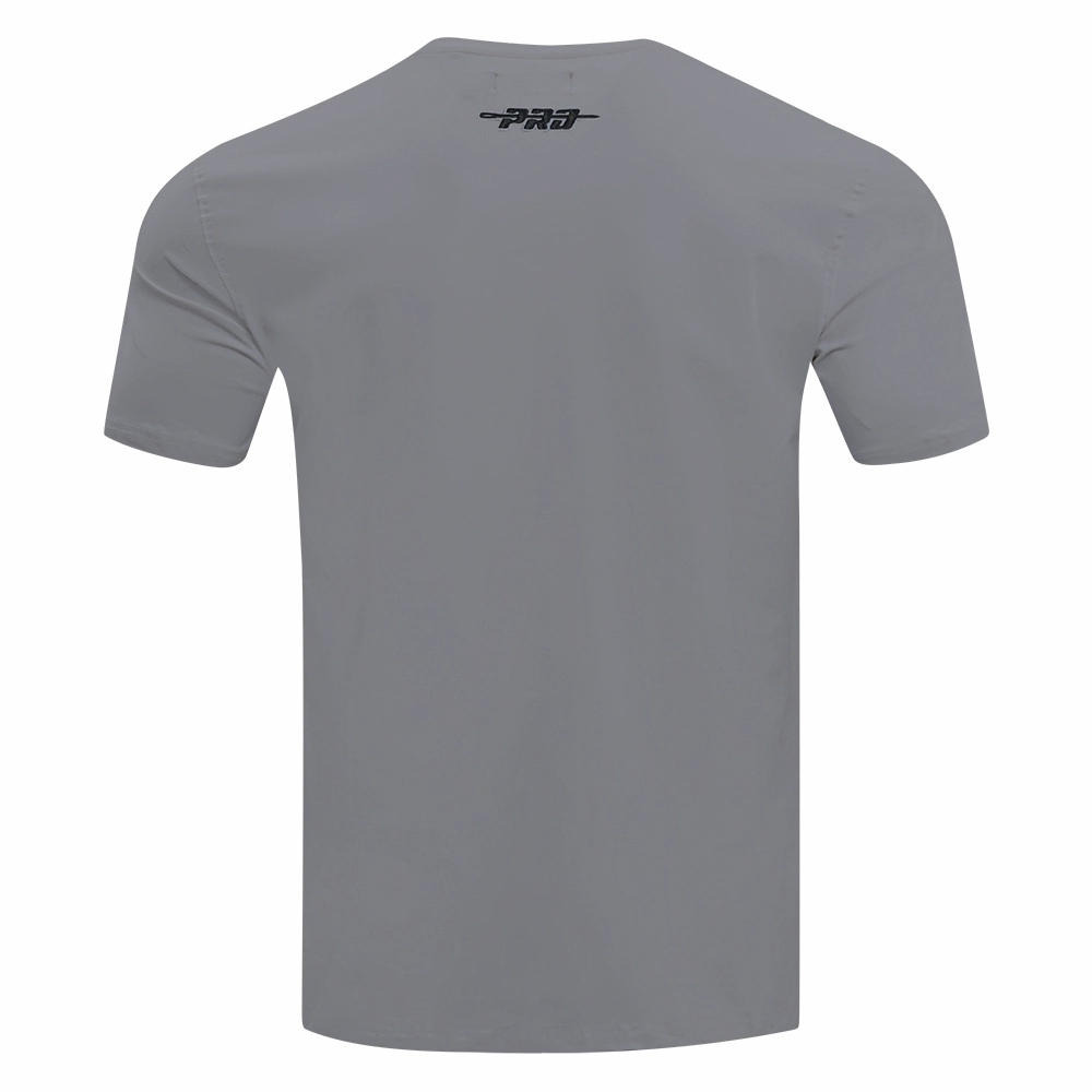 NFL LAS VEGAS RAIDERS SOUVENIR MEN'S SINGLE JERSEY TEE (GRAY)