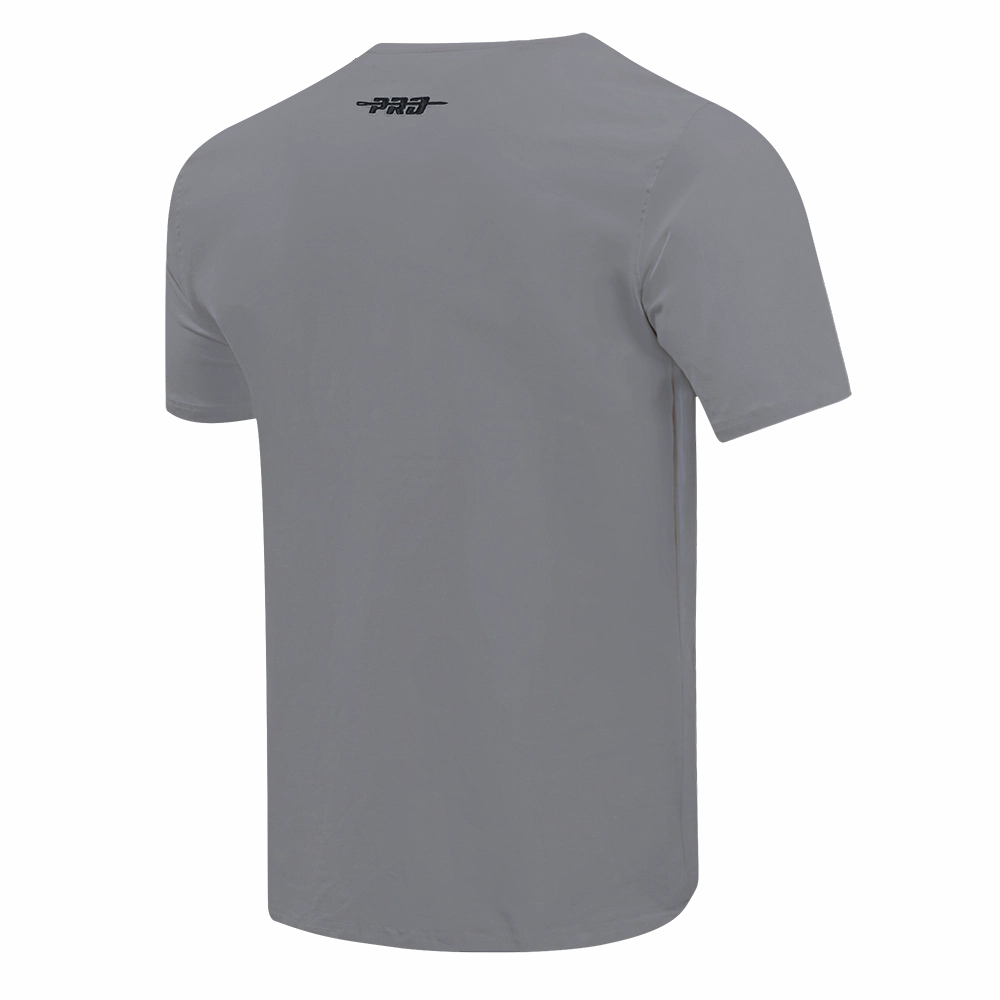 NFL LAS VEGAS RAIDERS SOUVENIR MEN'S SINGLE JERSEY TEE (GRAY)