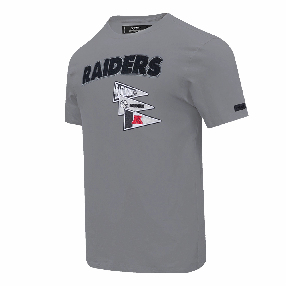 NFL LAS VEGAS RAIDERS TEAM PENNANTS MEN'S WORDMARK   TEE (GRAY)