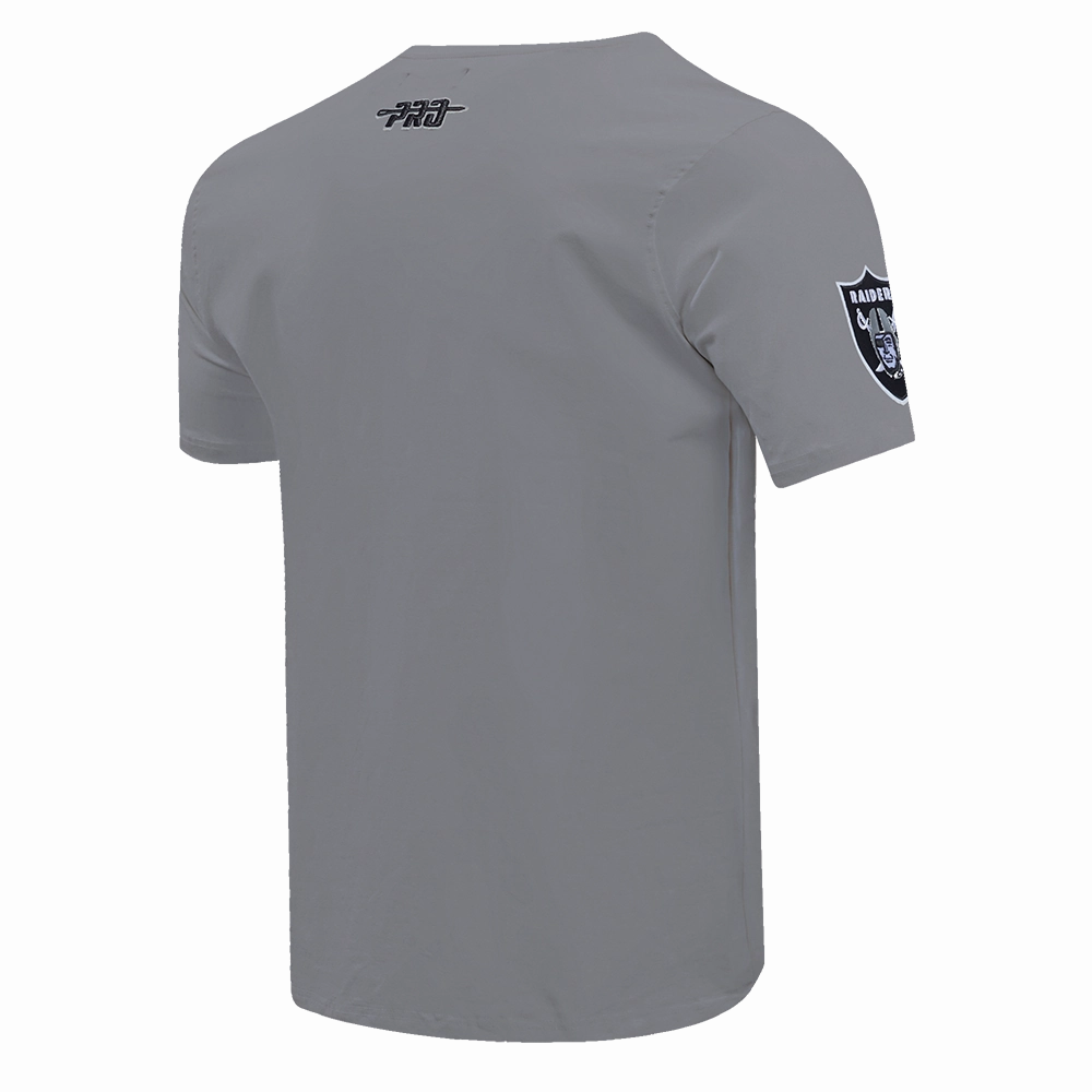 NFL LAS VEGAS RAIDERS TEAM PENNANTS MEN'S WORDMARK   TEE (GRAY)