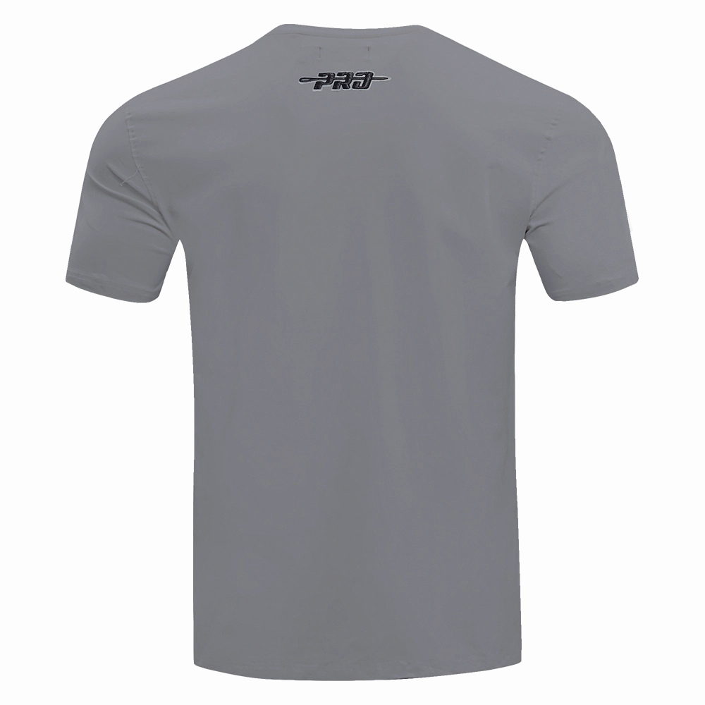 NFL LAS VEGAS RAIDERS TEAM PENNANTS MEN'S WORDMARK   TEE (GRAY)
