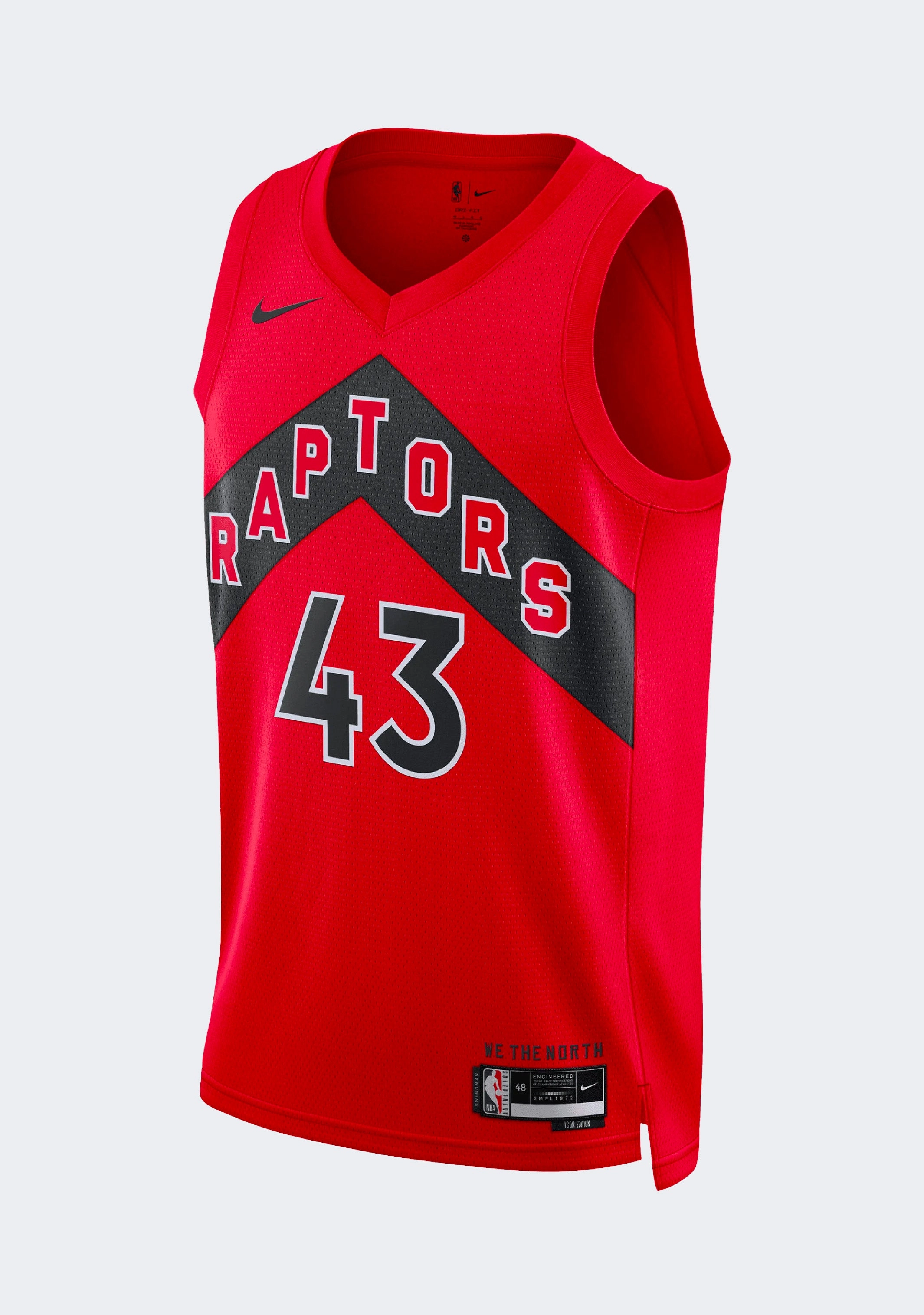 Nike Men's Pascal Siakam Toronto Raptors Icon Edition 2022/23 Dri-FIT NBA Swingman Jersey