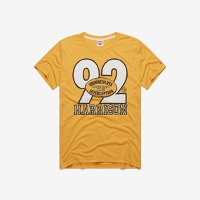 Pittsburgh Steelers Immaculate Interception Harrison