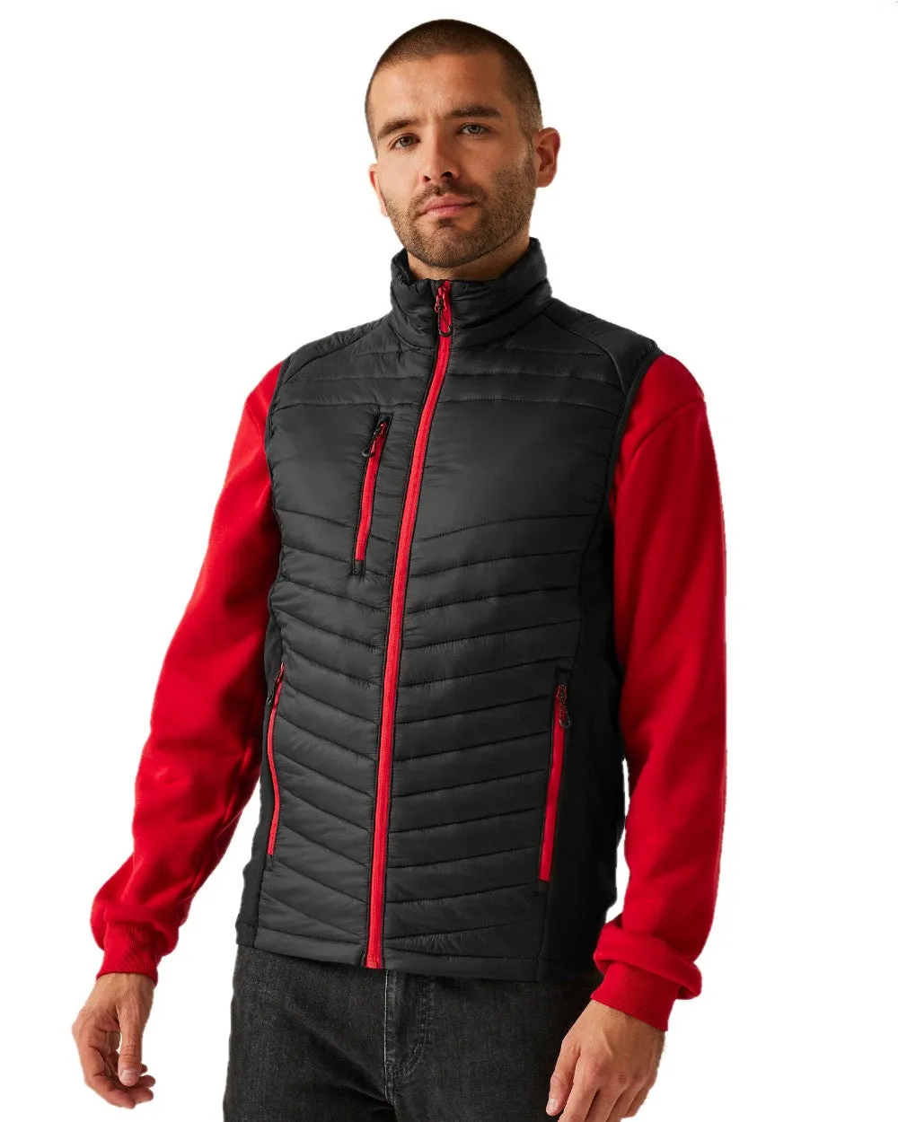 Regatta Mens Navigate Hybrid Bodywarmer Tartan Plaid Shirts Men