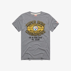 Steelers 6 Time Super Bowl Champions