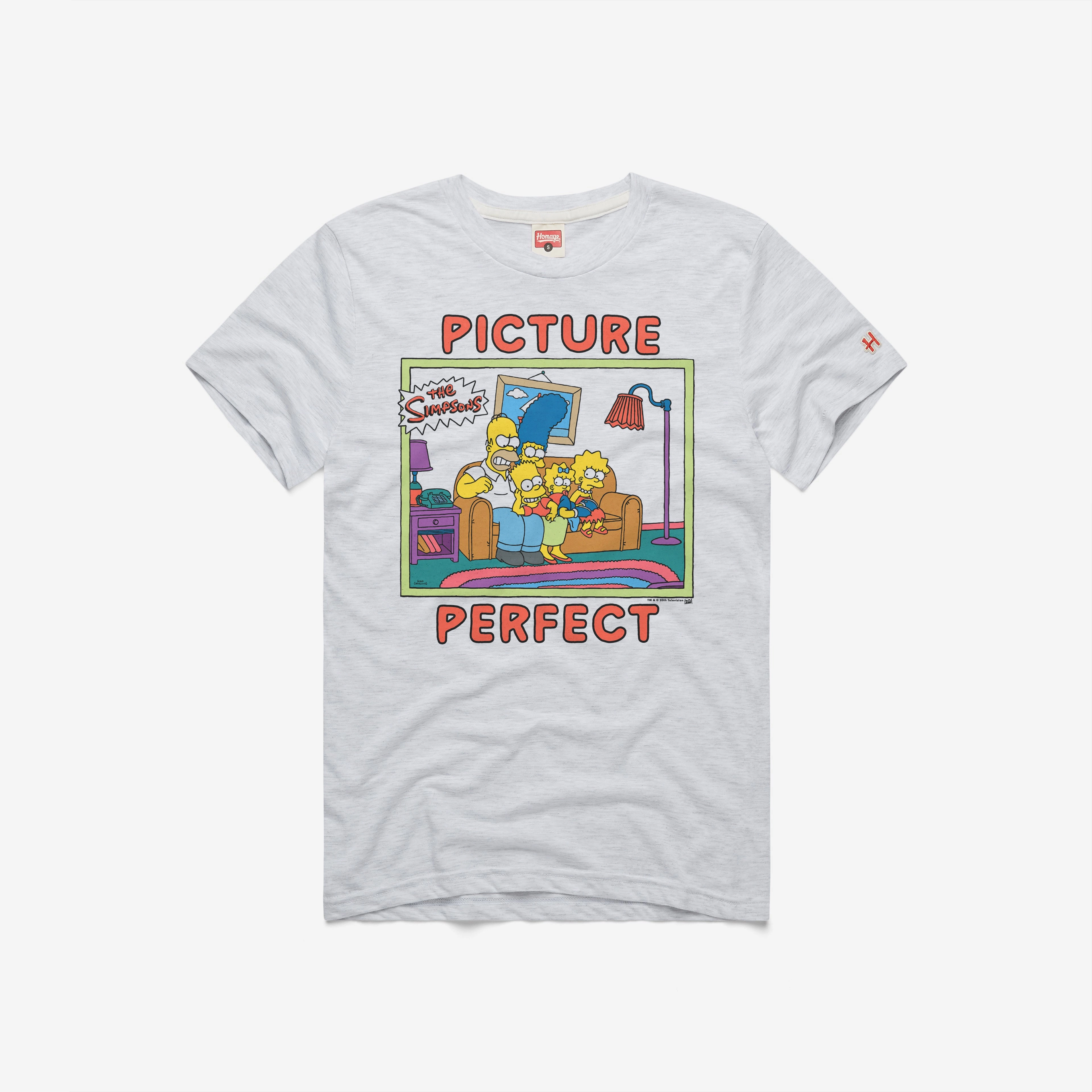 The Simpsons Picture Perfect