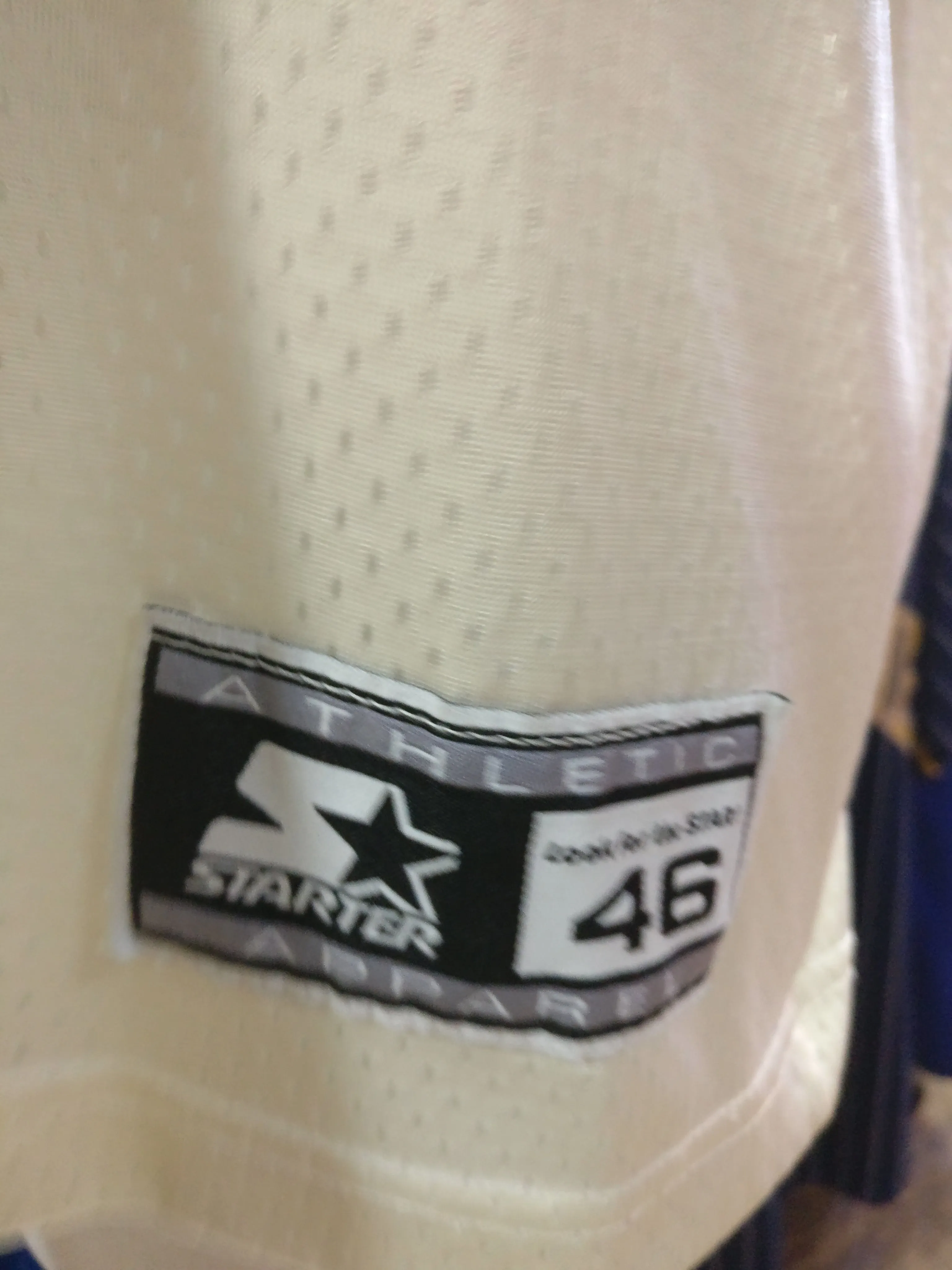 Vintage #21 TERRY ALLEN Washington Commanders NFL Starter Jersey 46 (M)