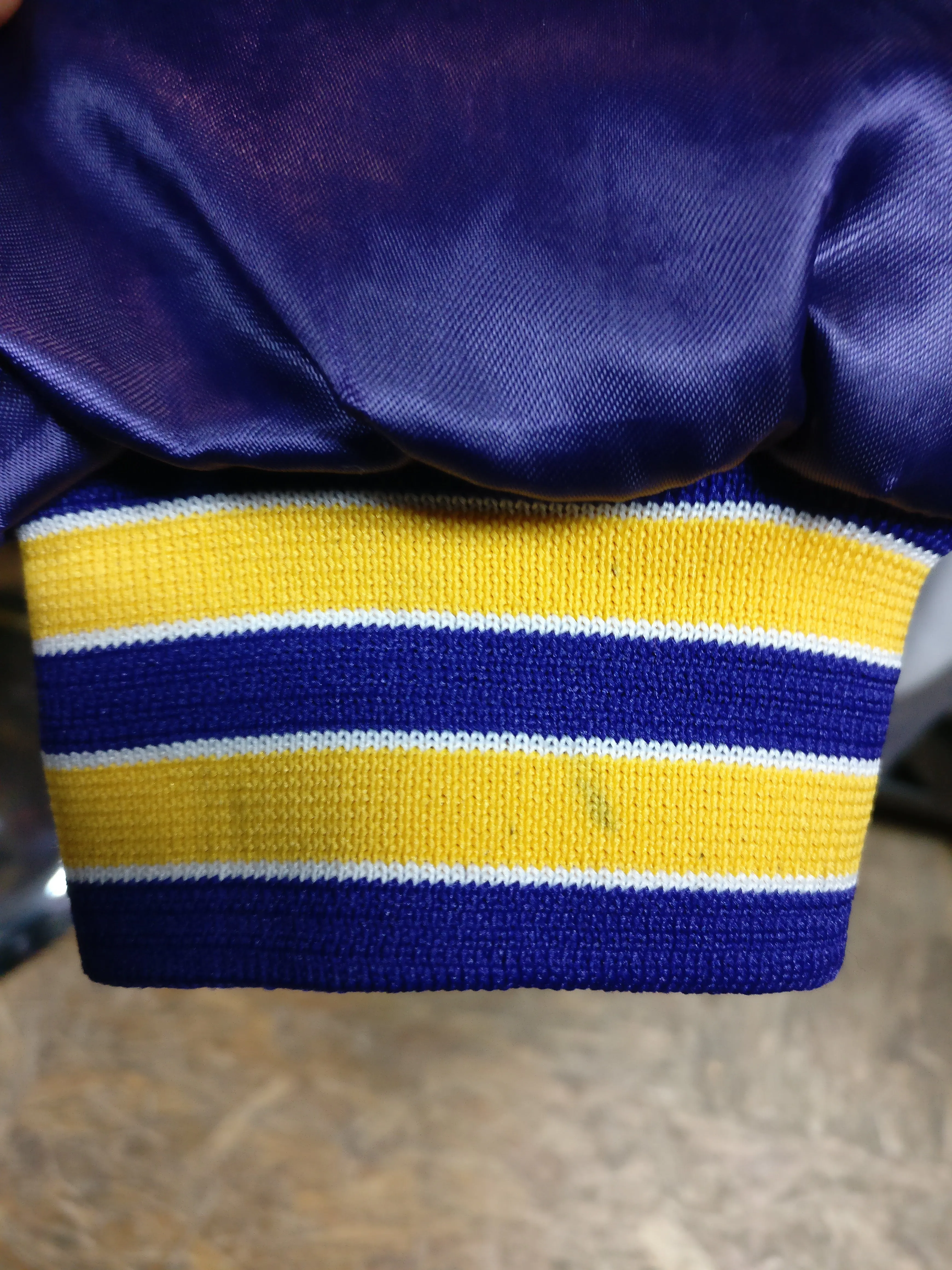 Vintage 80s MINNESOTA VIKINGS NFL Swingster Nylon Jacket L