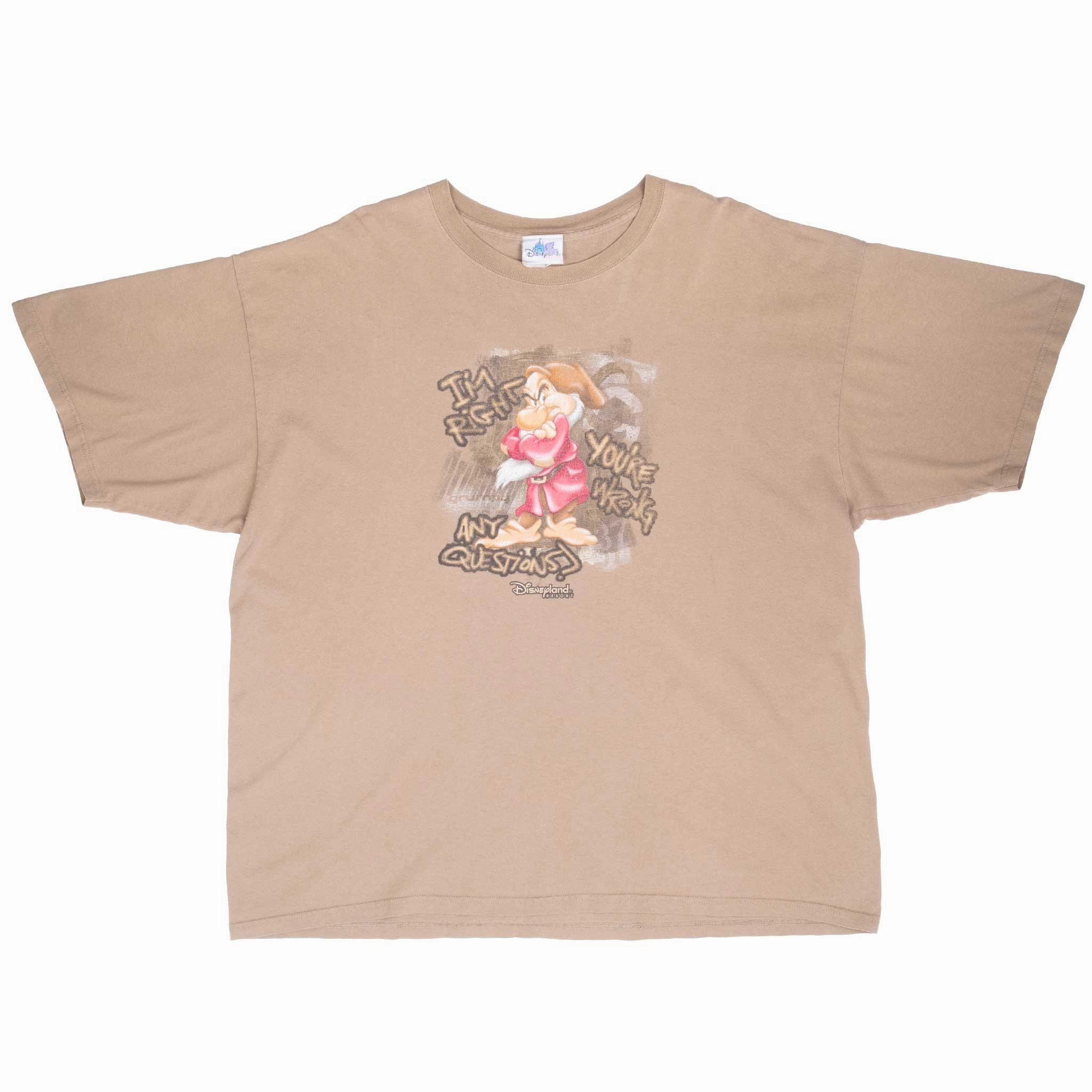 VINTAGE DISNEY SNOW WHITE GRUMPY DWARF TEE SHIRT 2000S 2XL