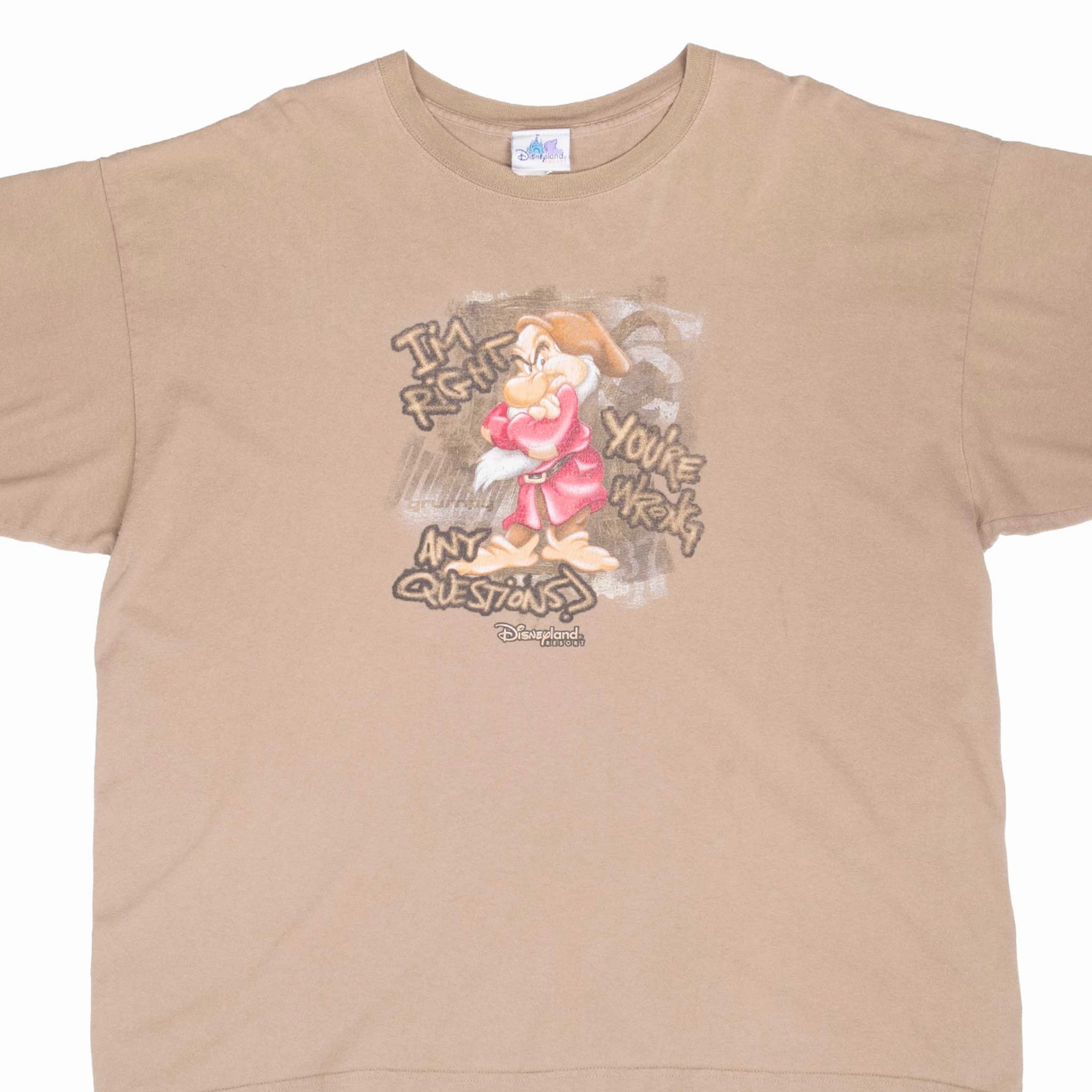VINTAGE DISNEY SNOW WHITE GRUMPY DWARF TEE SHIRT 2000S 2XL