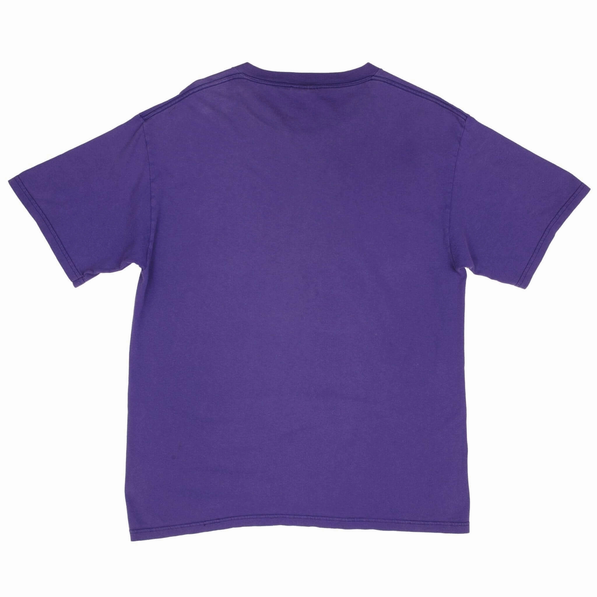 VINTAGE NFL MINNESOTA VIKINGS 1999 TEE SHIRT SIZE LARGE MADE IN USA
