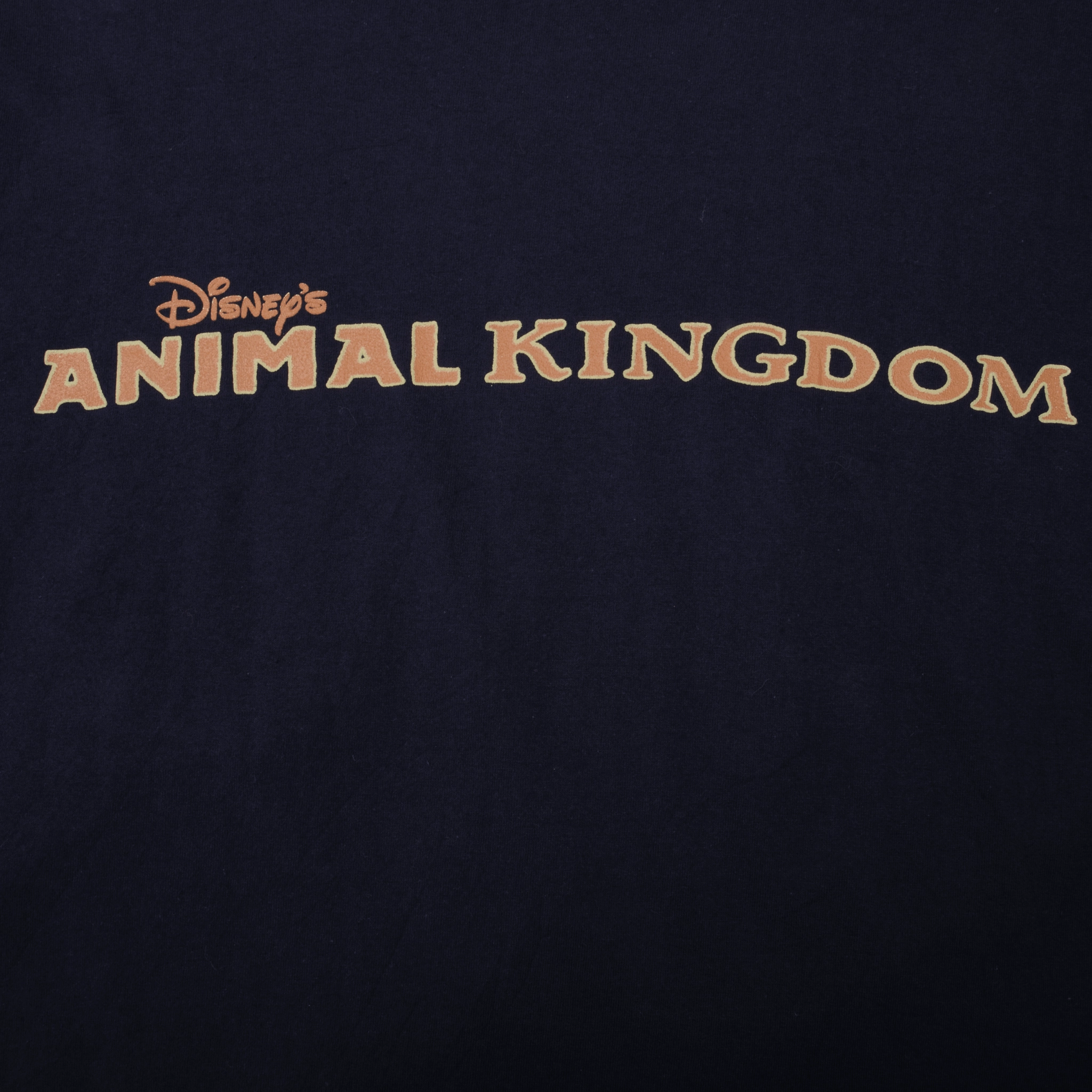 VINTAGE WALT DISNEY WORLD ANIMAL KINGDOM TEE SHIRT 1998 XL MADE USA