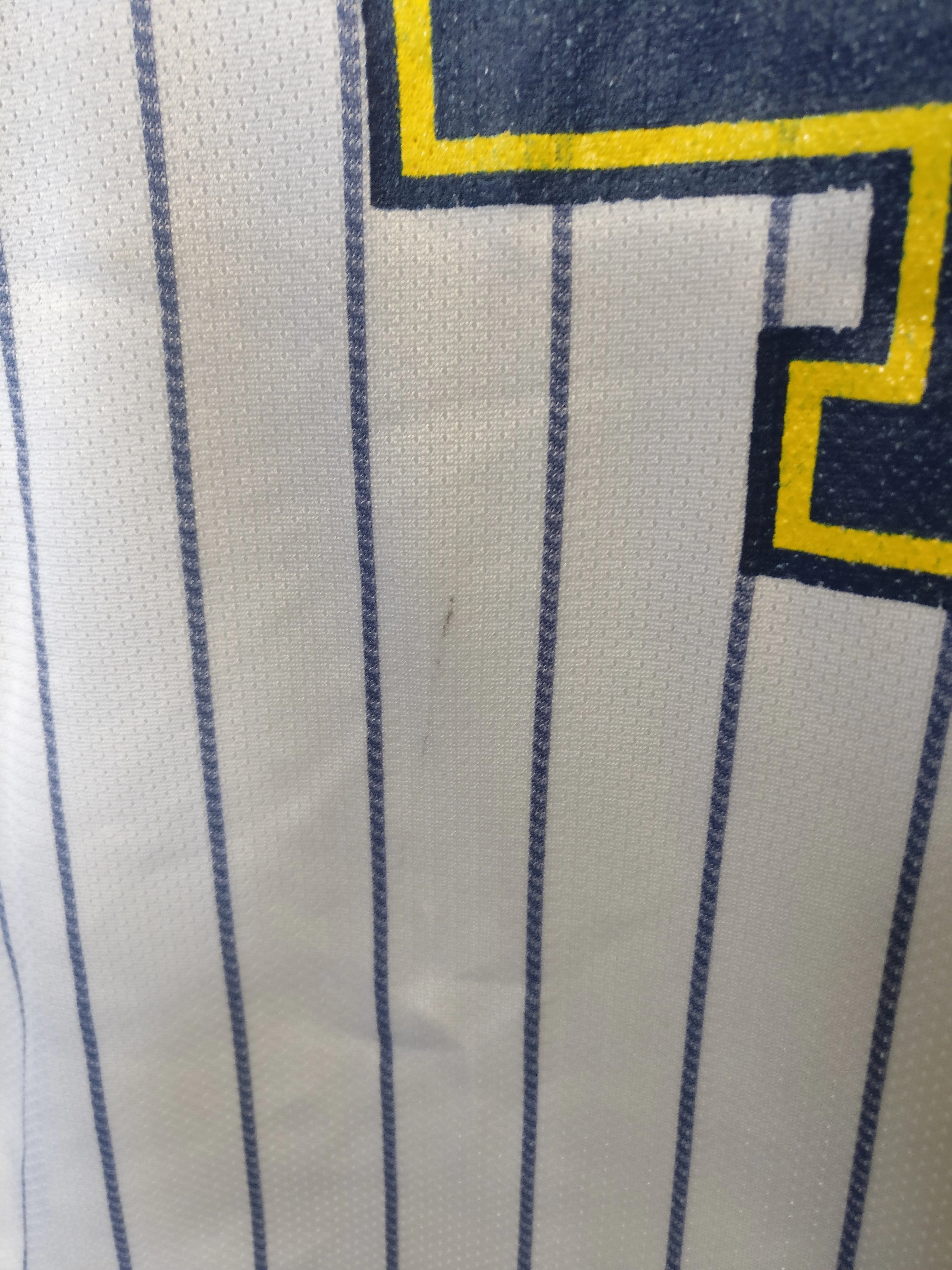 Vtg #44 AUSTIN CROSHERE Indiana Pacers Pinstripe Champion Jersey 18-20